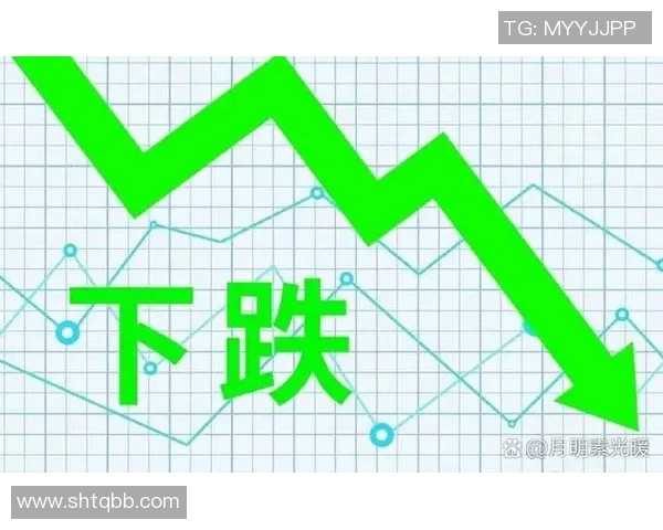 武汉排球队逆风翻盘的背后故事与未来展望解析